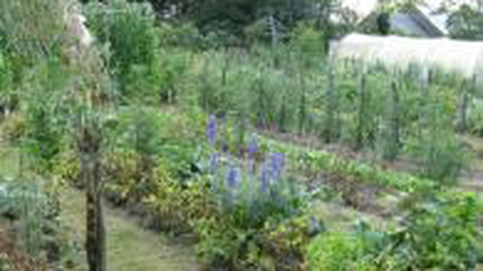 Potager de Sylvain et Hélène Jaworski