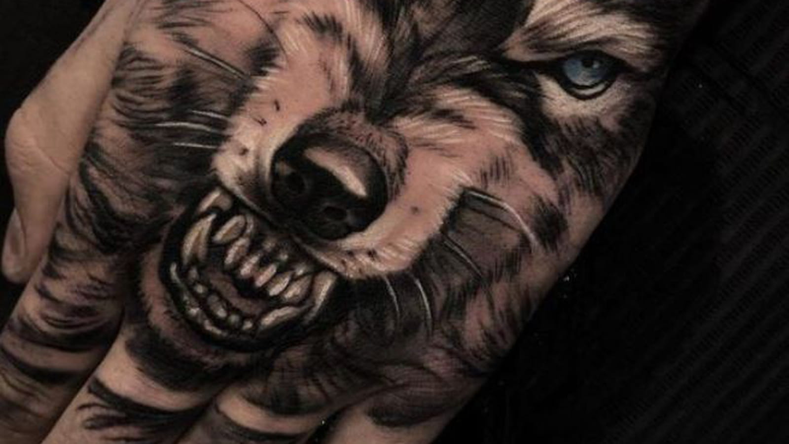 Loup terrifiant sur la main