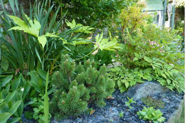 Patchwork v&eacute;g&eacute;tal