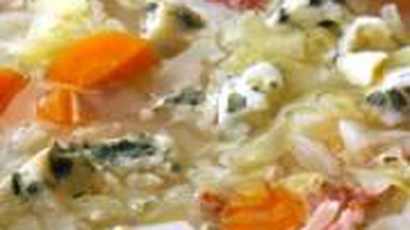 Soupe au chou et au roquefort