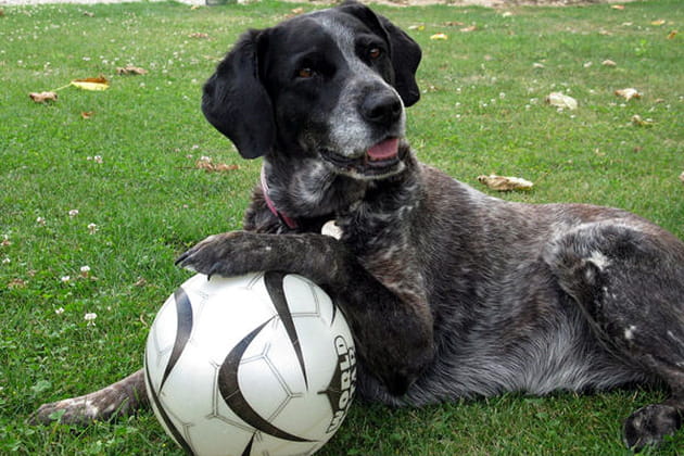 Peluche la chasseuse