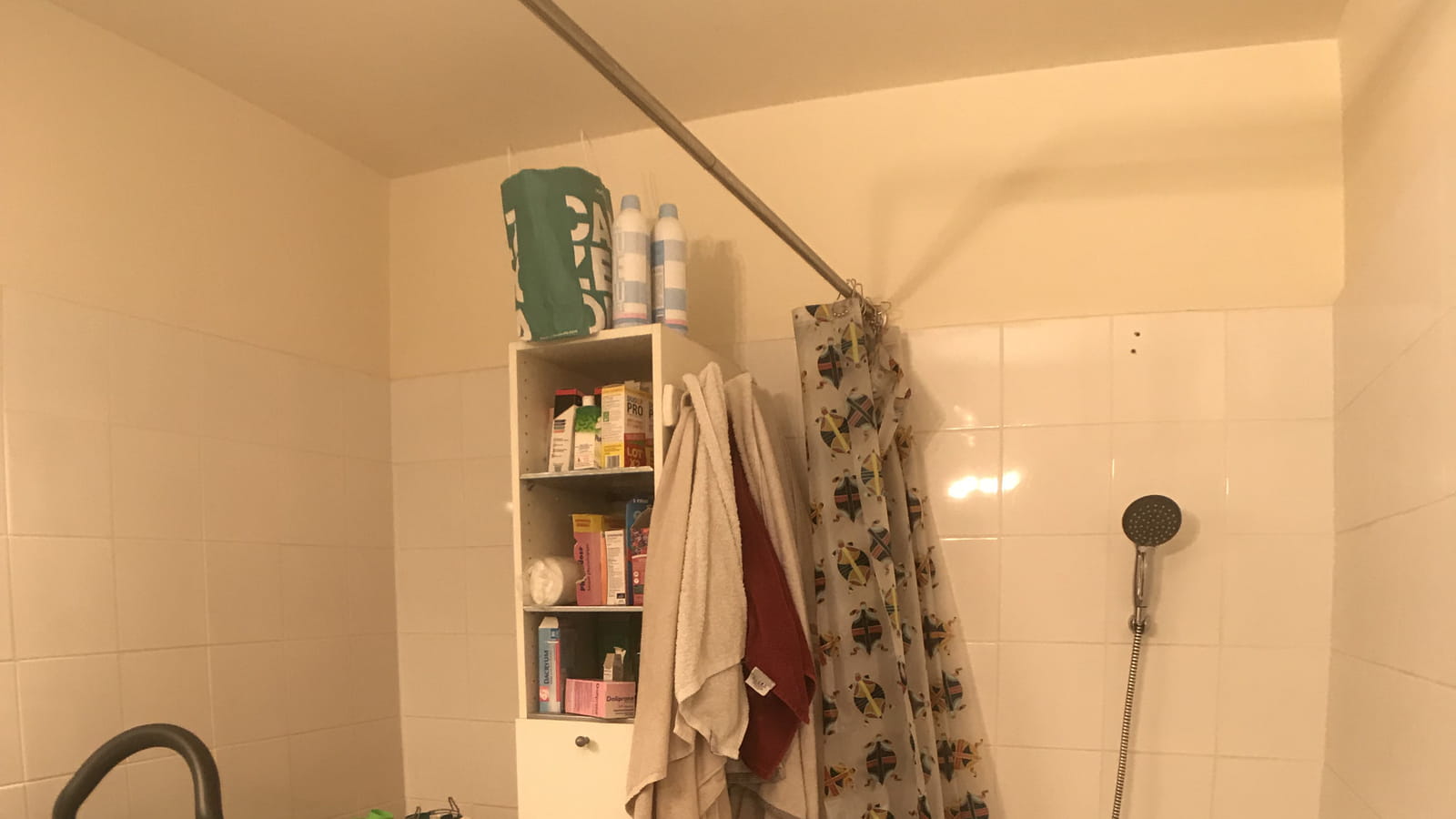 Salle de bains avant 