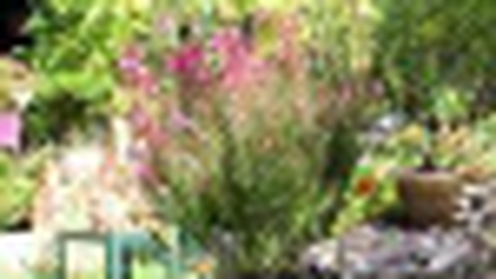 Cascade de fleurs