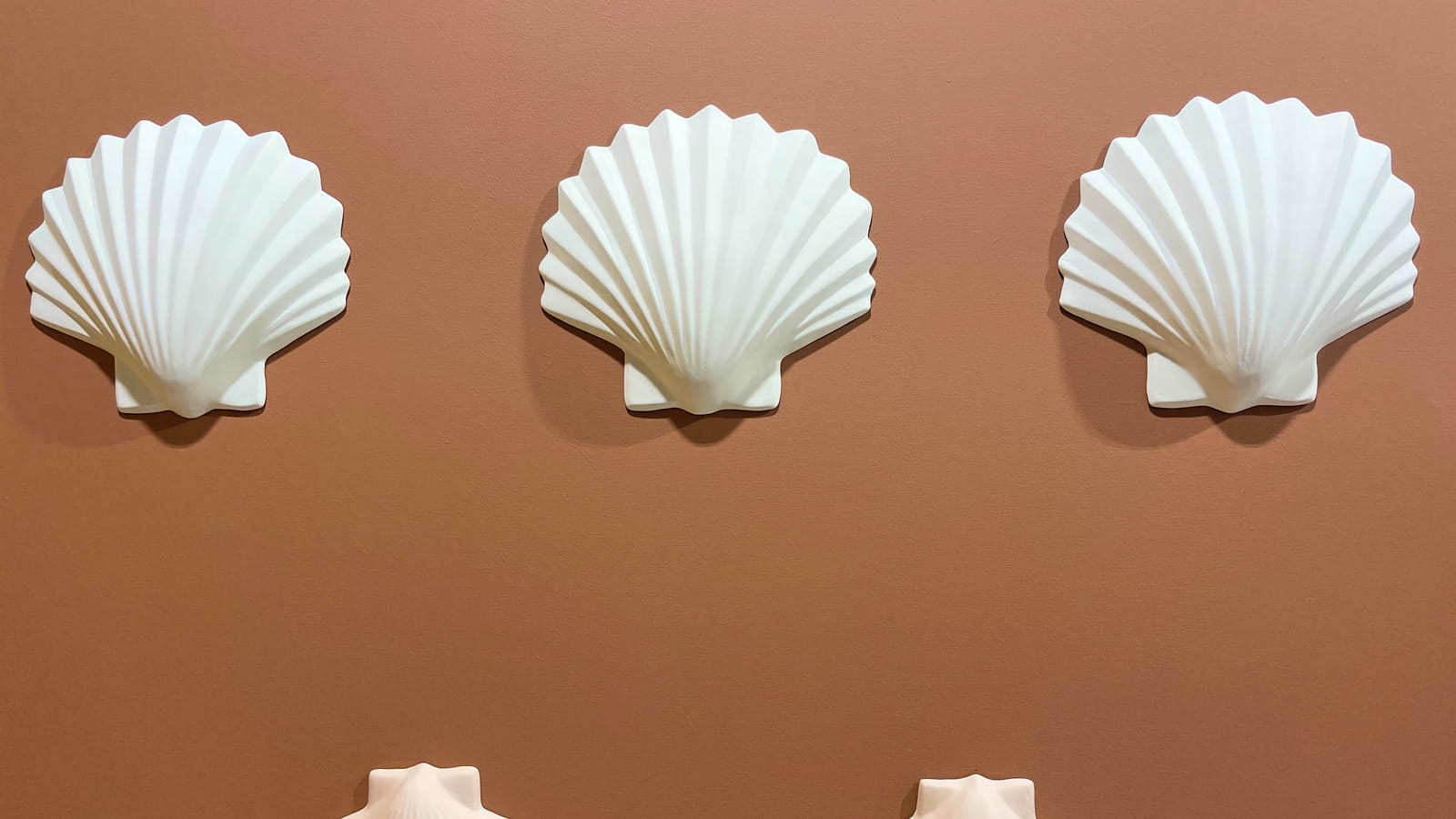 Coquillage