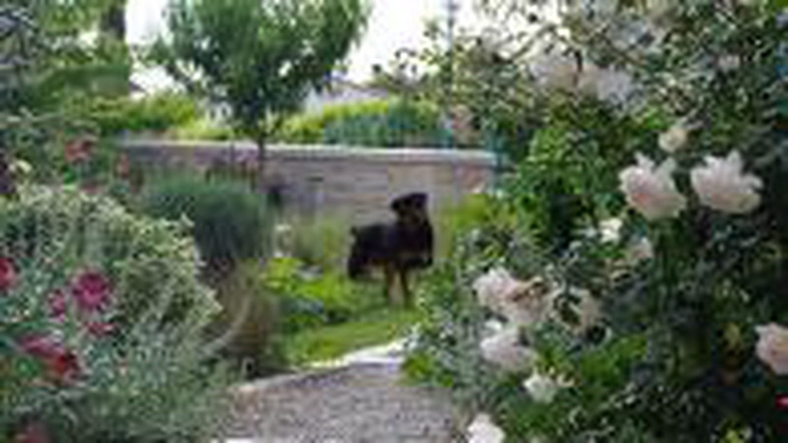Paradis pour les animaux