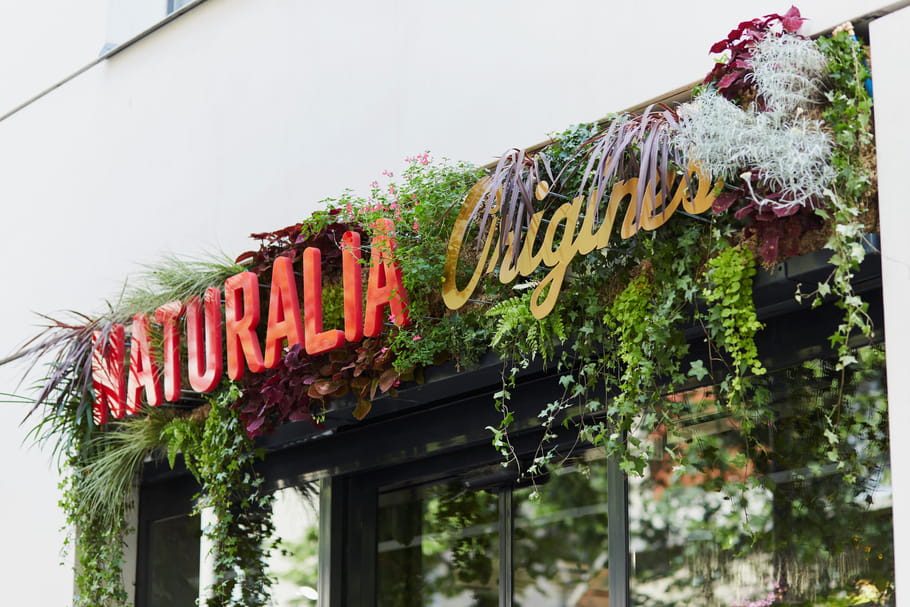 Naturalia ouvre Origines, un temple du bien-être 100% bio