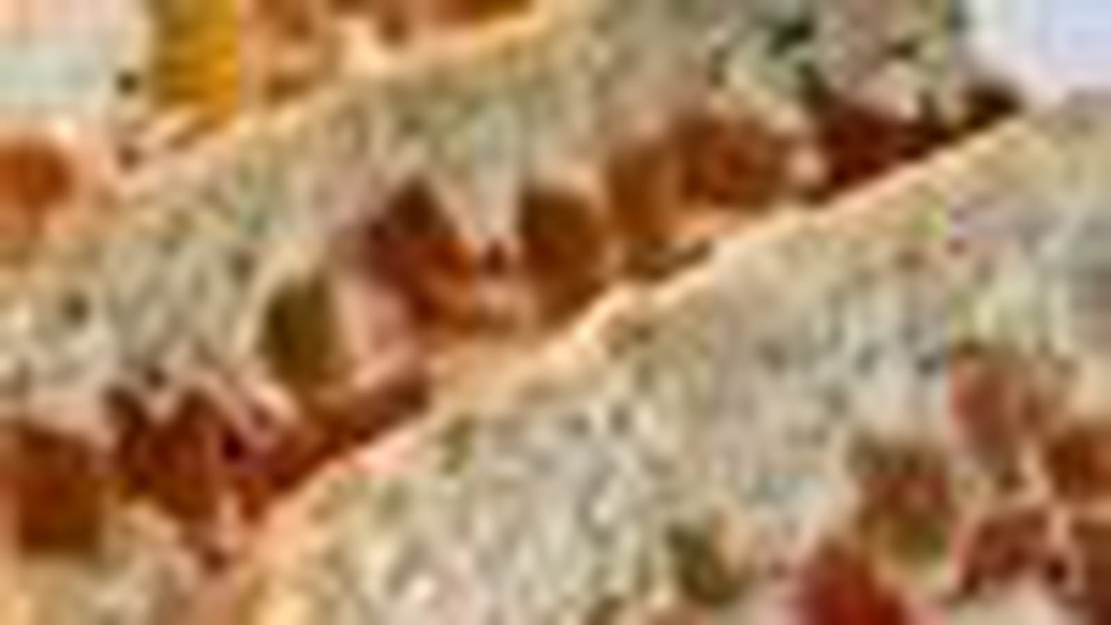 Terrine de la mer