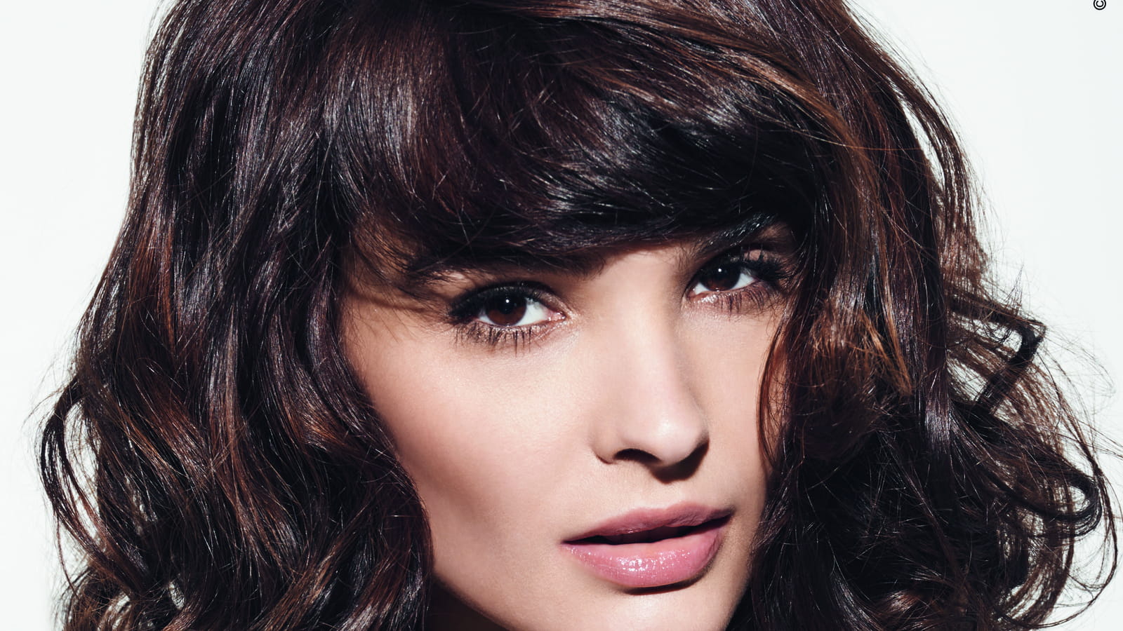 Le brun Cashmere
