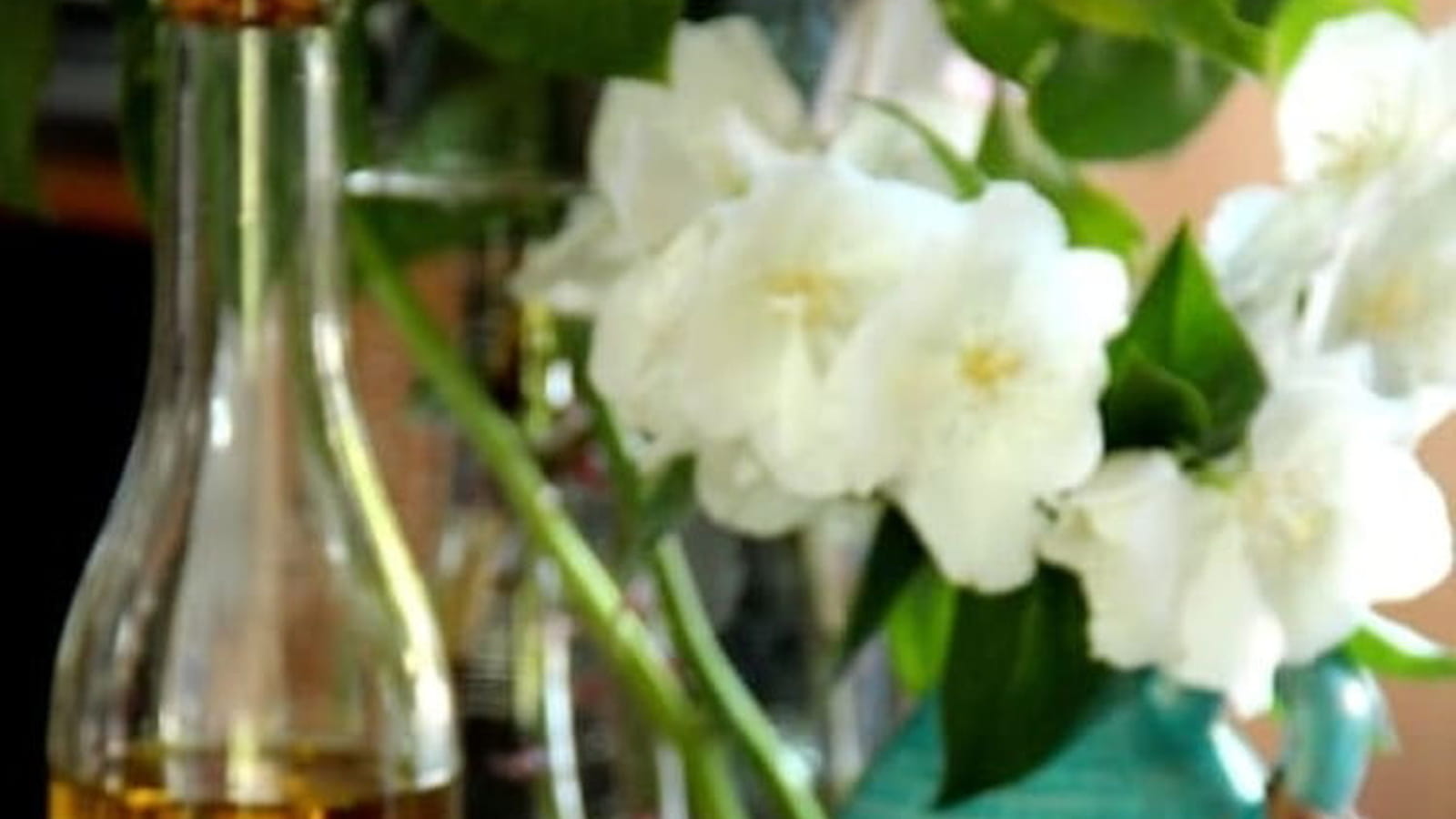 Dorades roses grillées au curcuma, persil, estragon