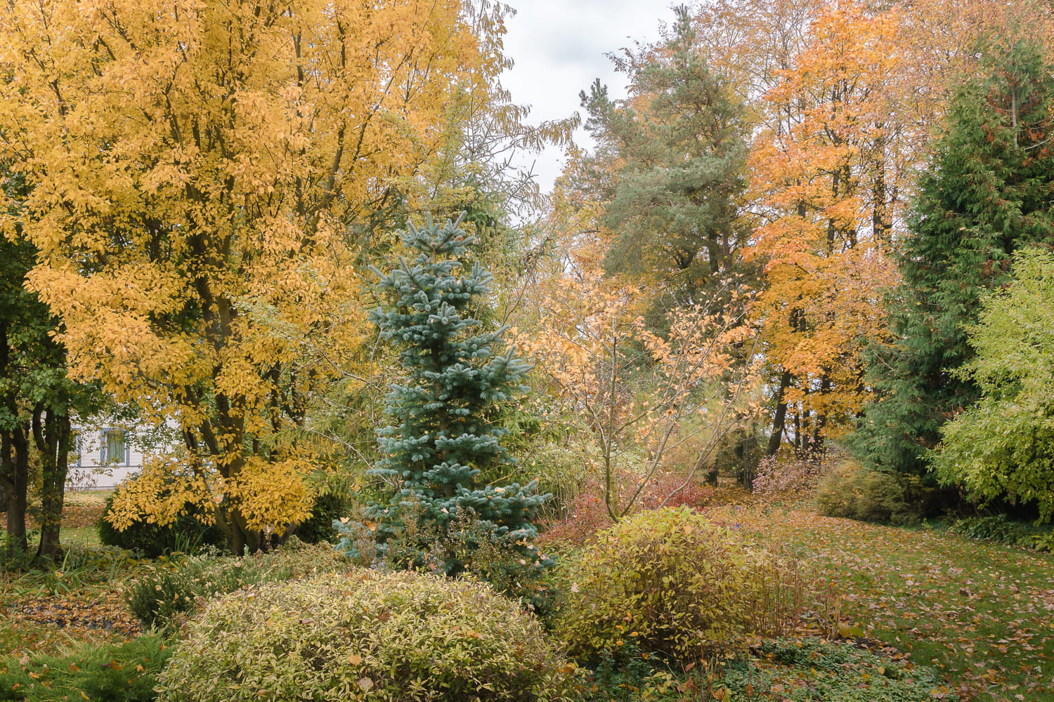 Kaylee reithmann tattoo reach out to him for a reviewer