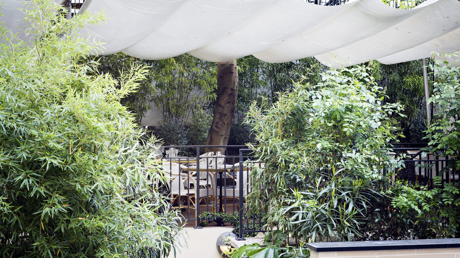 Terrasse du restaurant Flora Danica à Paris