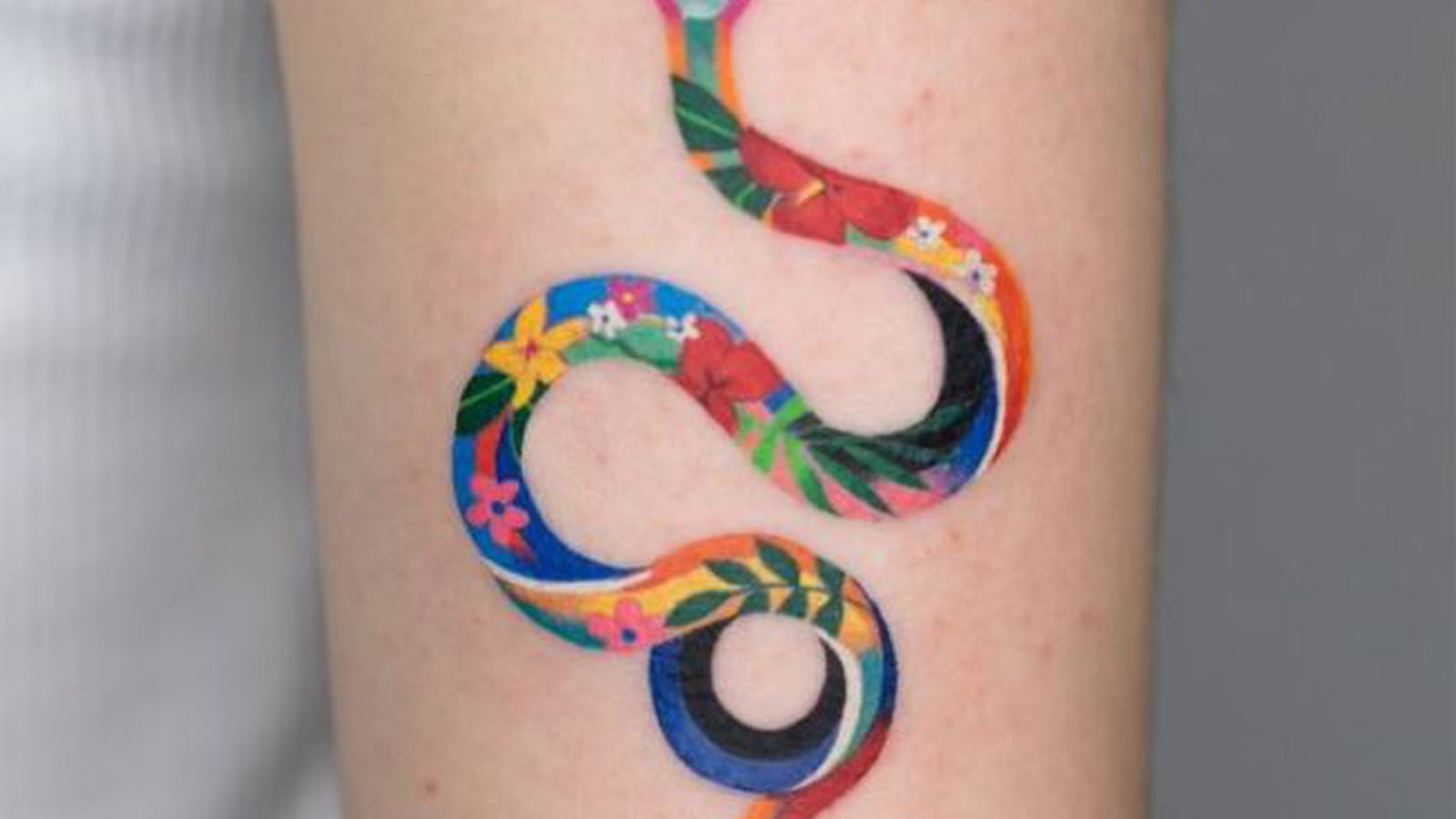 Serpent multicolore sur le bras