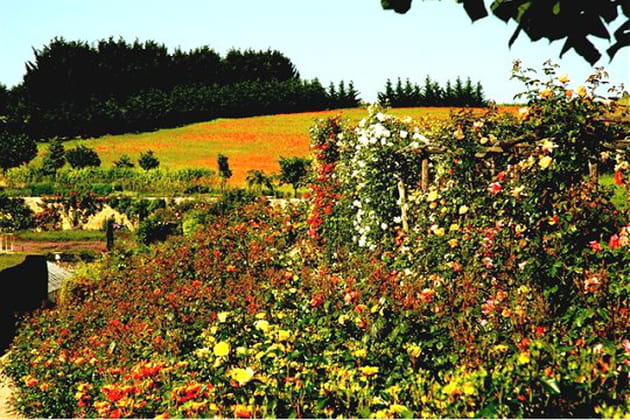 Le Croissant des Fragrances