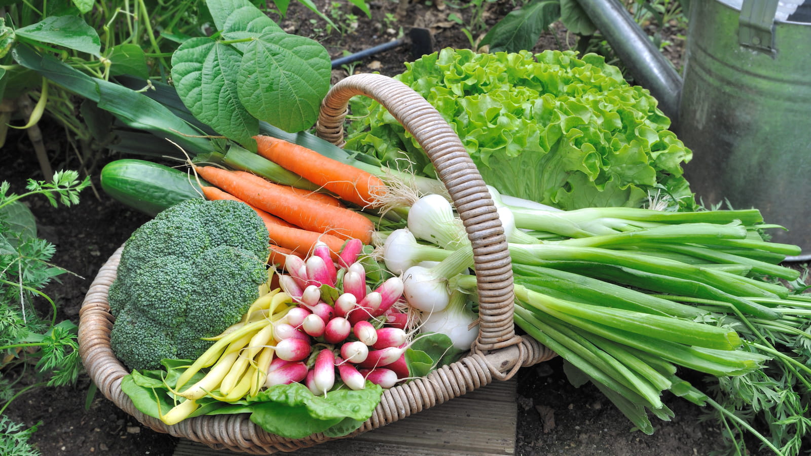 Légumes croquants