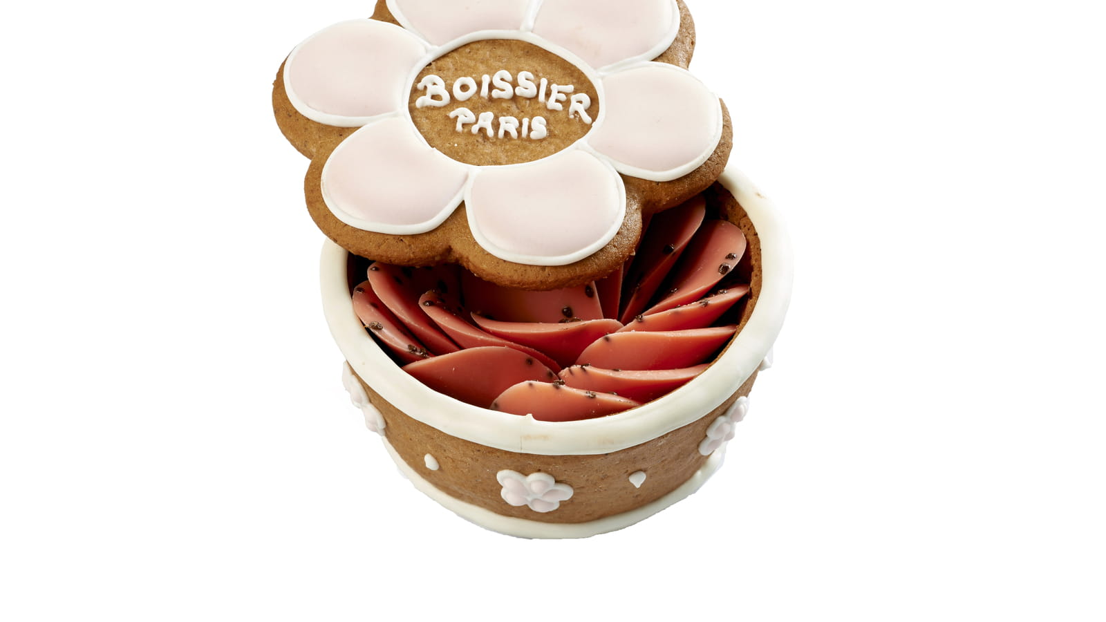 Pot Pétales de fleurs de rose de Boissier