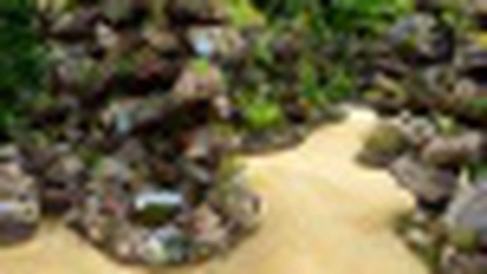 Le jardin Fragment'ère