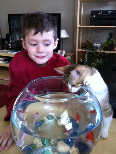 Comme un poisson dans l'eau...