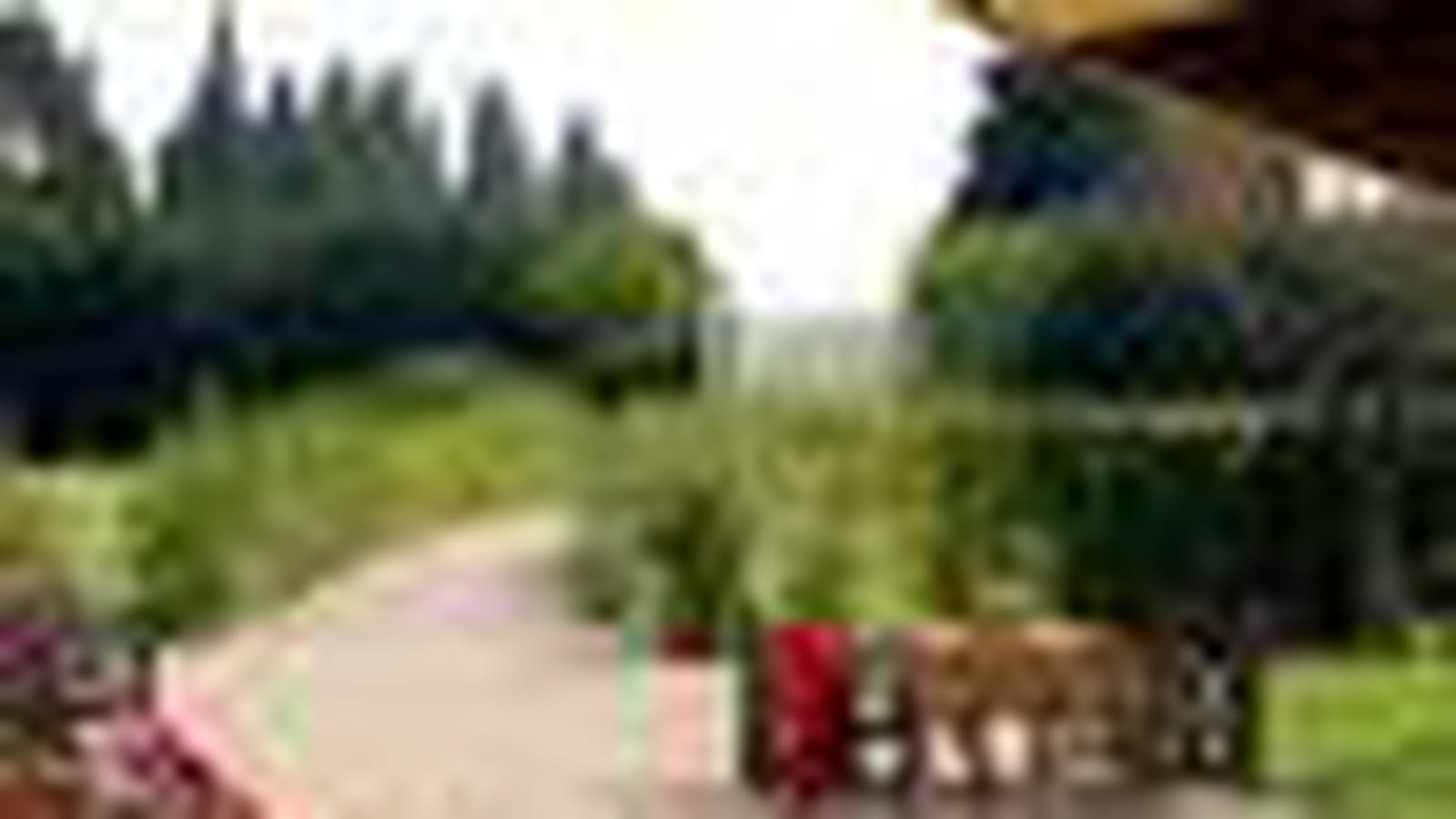 Jardin