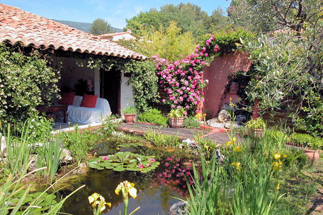La terrasse aquatique