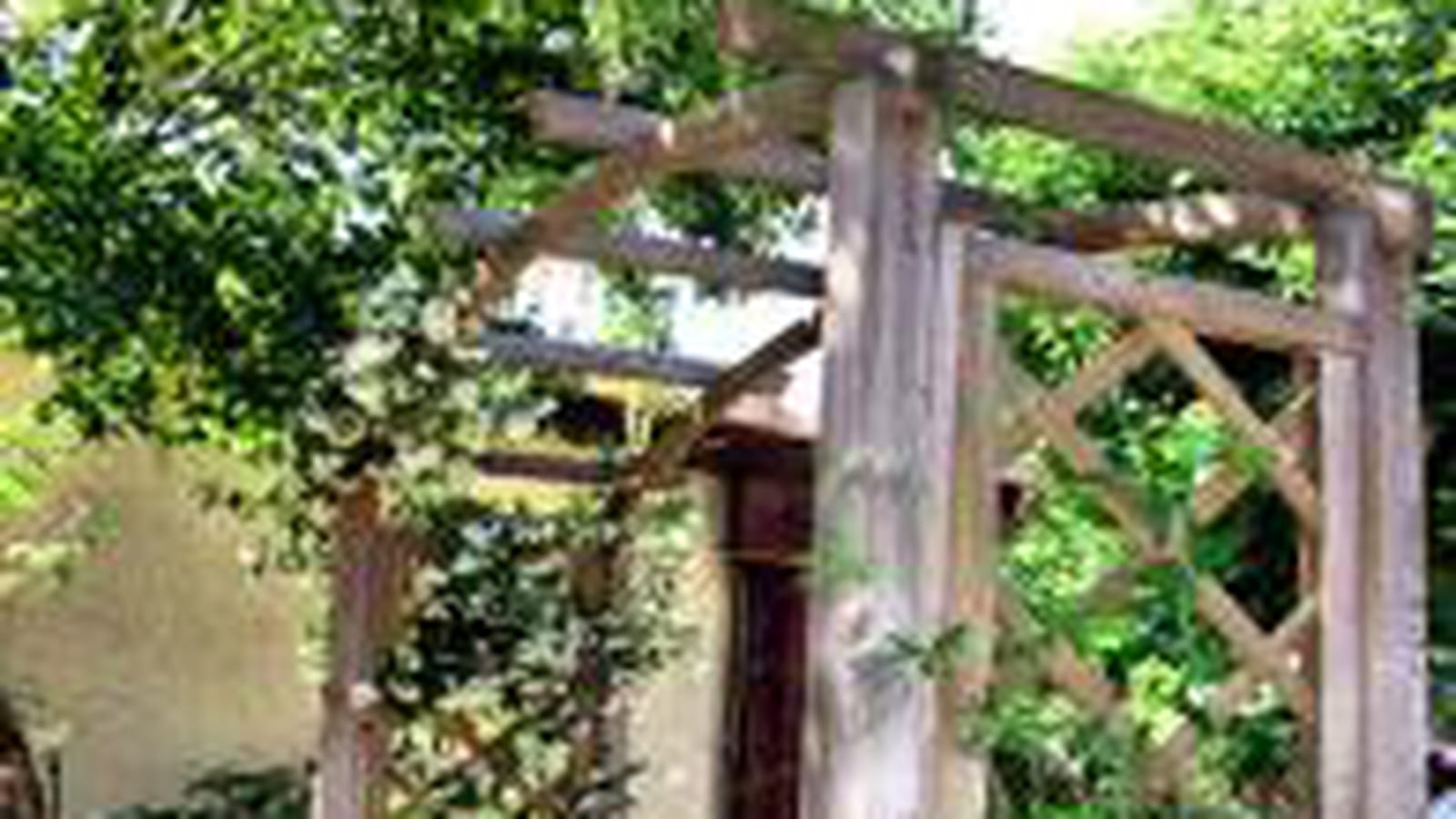 Jasmin et pergola