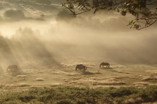 Vision d'un autre monde