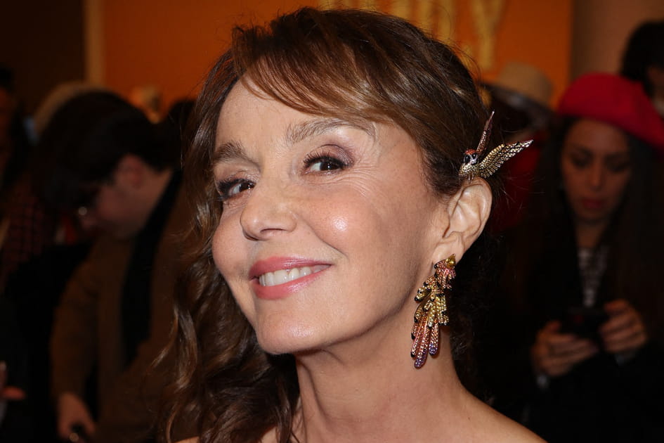 Philippine Leroy-Beaulieu, magnifique avec son Side hair accessoiris&eacute;