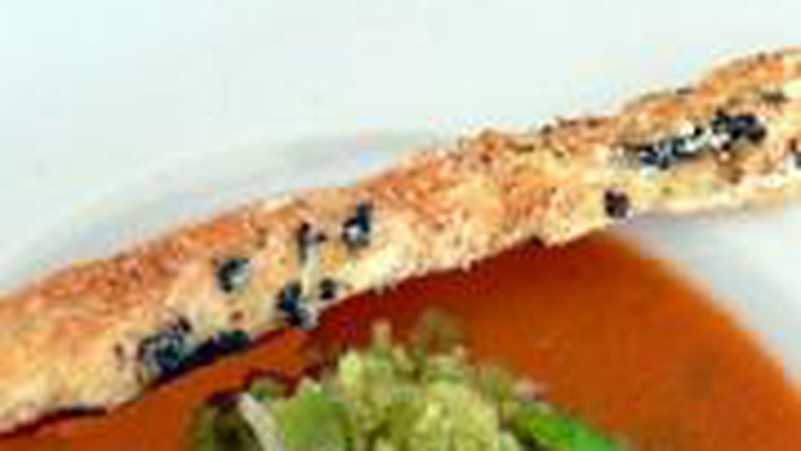 Gazpacho Alvalle, crabe et granité de basilic