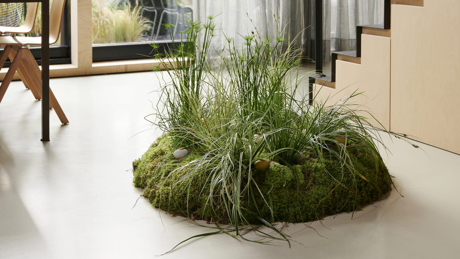 Plantes Herbacées