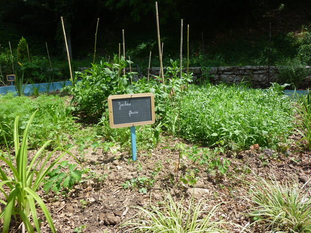 L'entretien du jardin