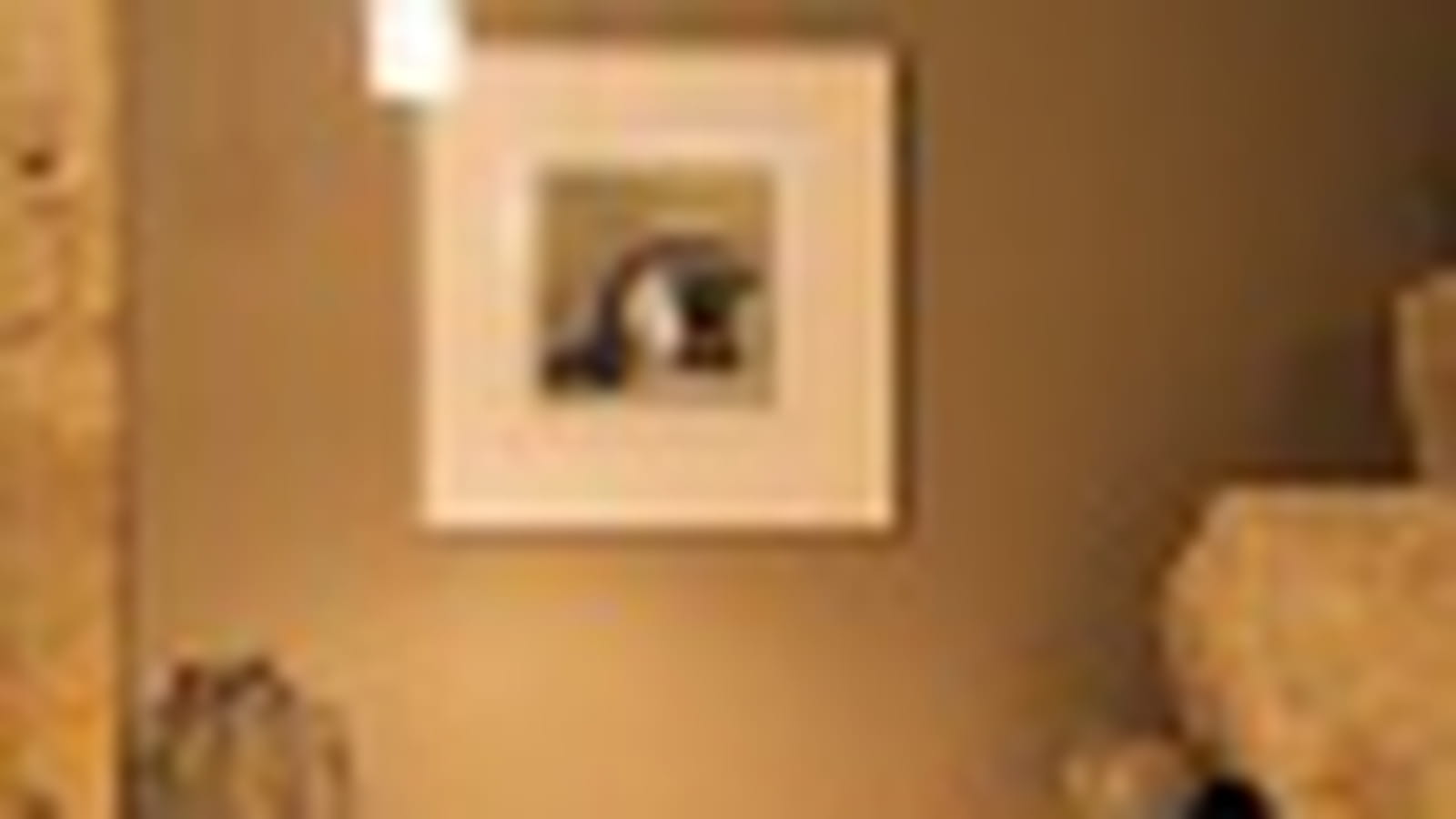 Chambre d'ami