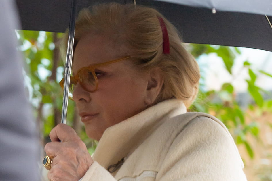 Sylvie Vartan, d&eacute;licieuse avec sa barrette dans les cheveux