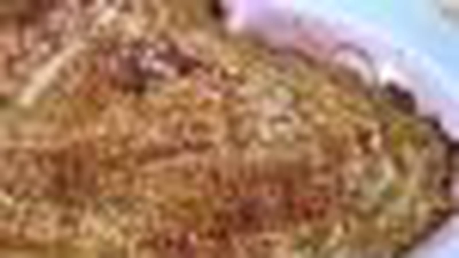 Chou-fleur