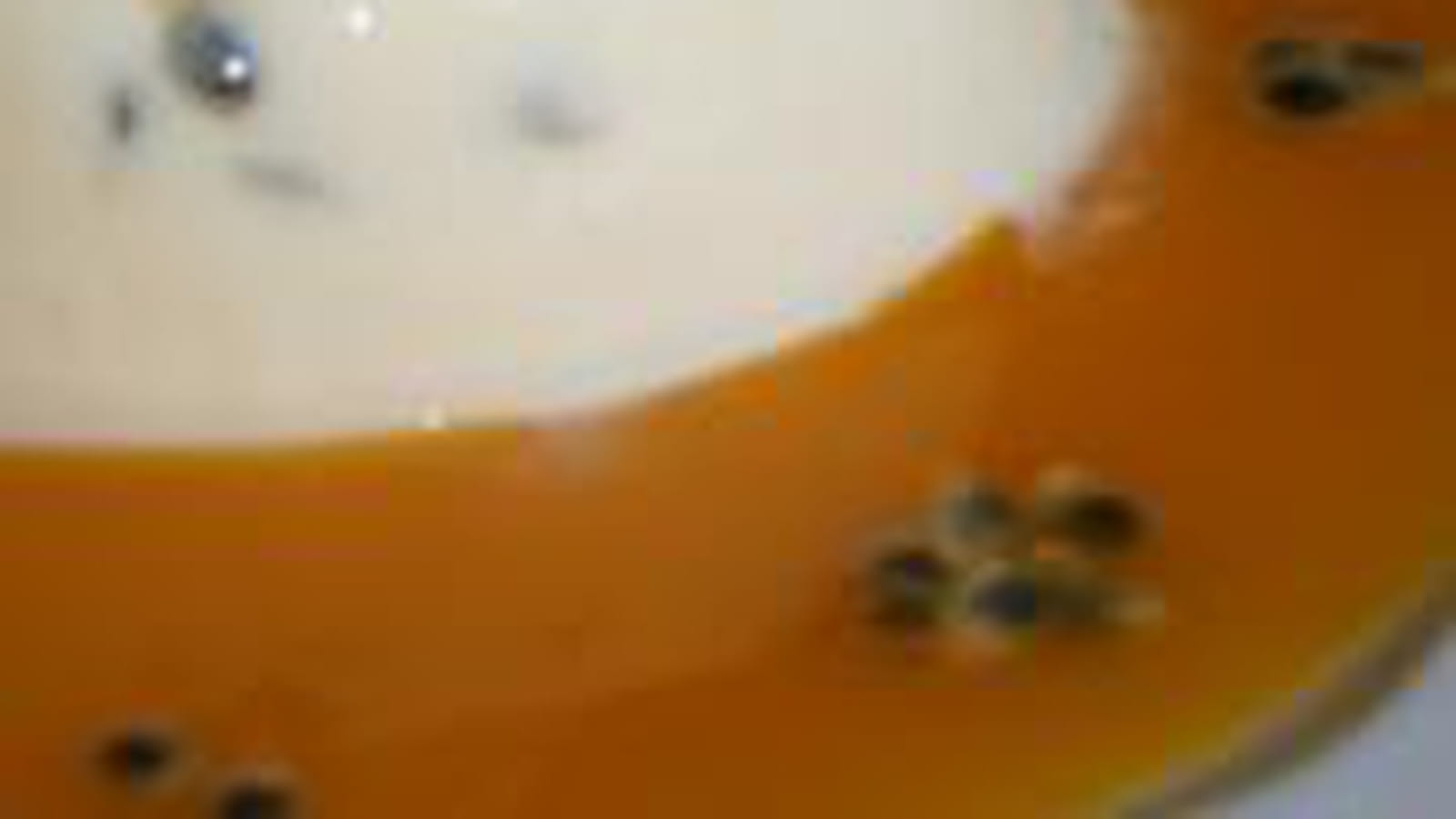 Panna cotta passion