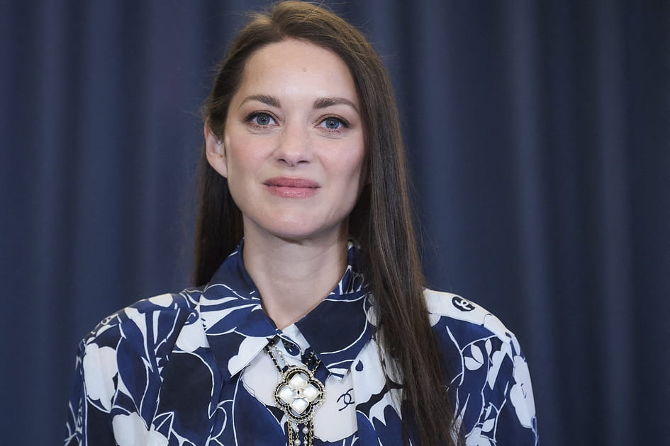 Les cheveux bruns lisses de Marion Cotillard