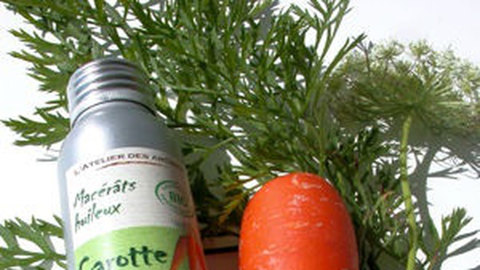 Macérât huileux bio de carotte