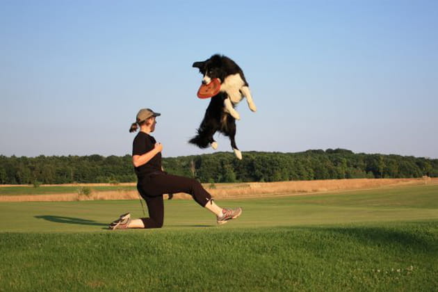 Une discipline très réglementée