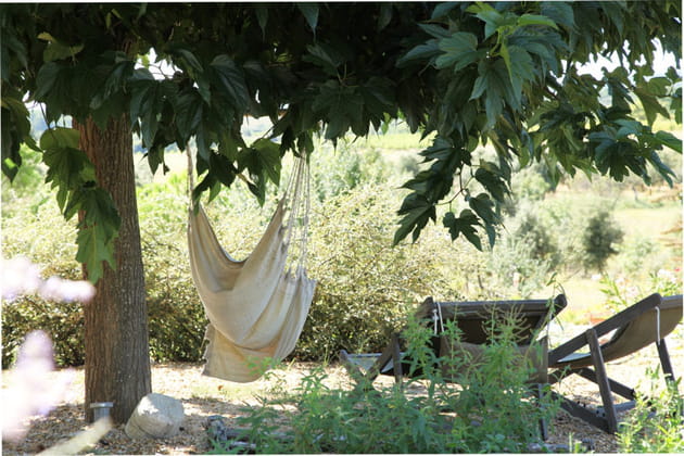Espace d&eacute;tente au coeur de la v&eacute;g&eacute;tation