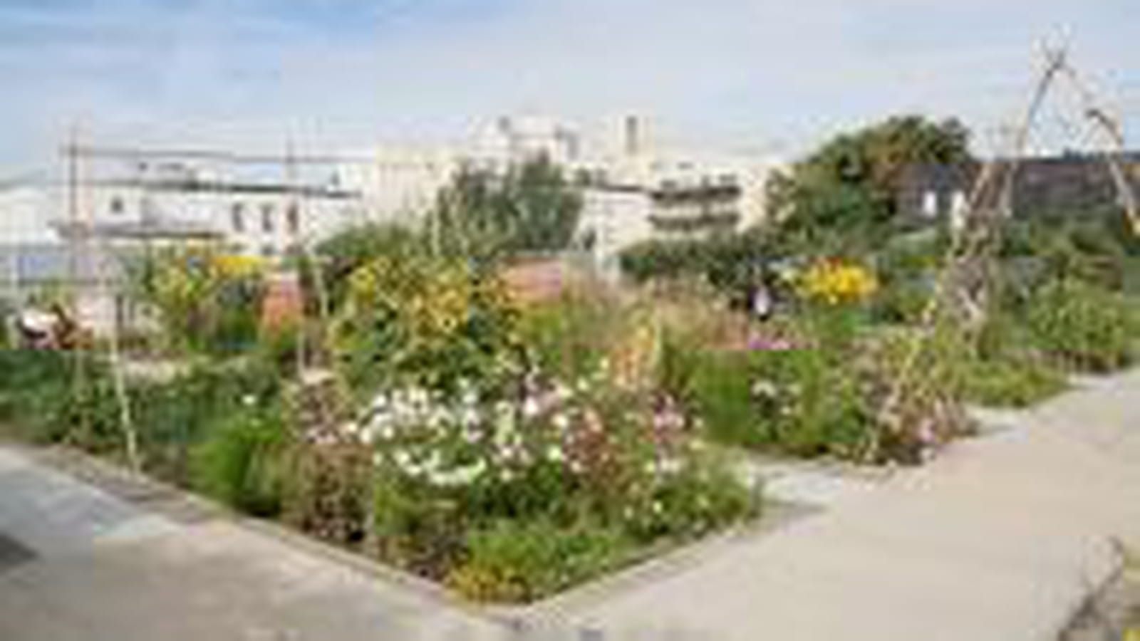 Jardin sur le toit