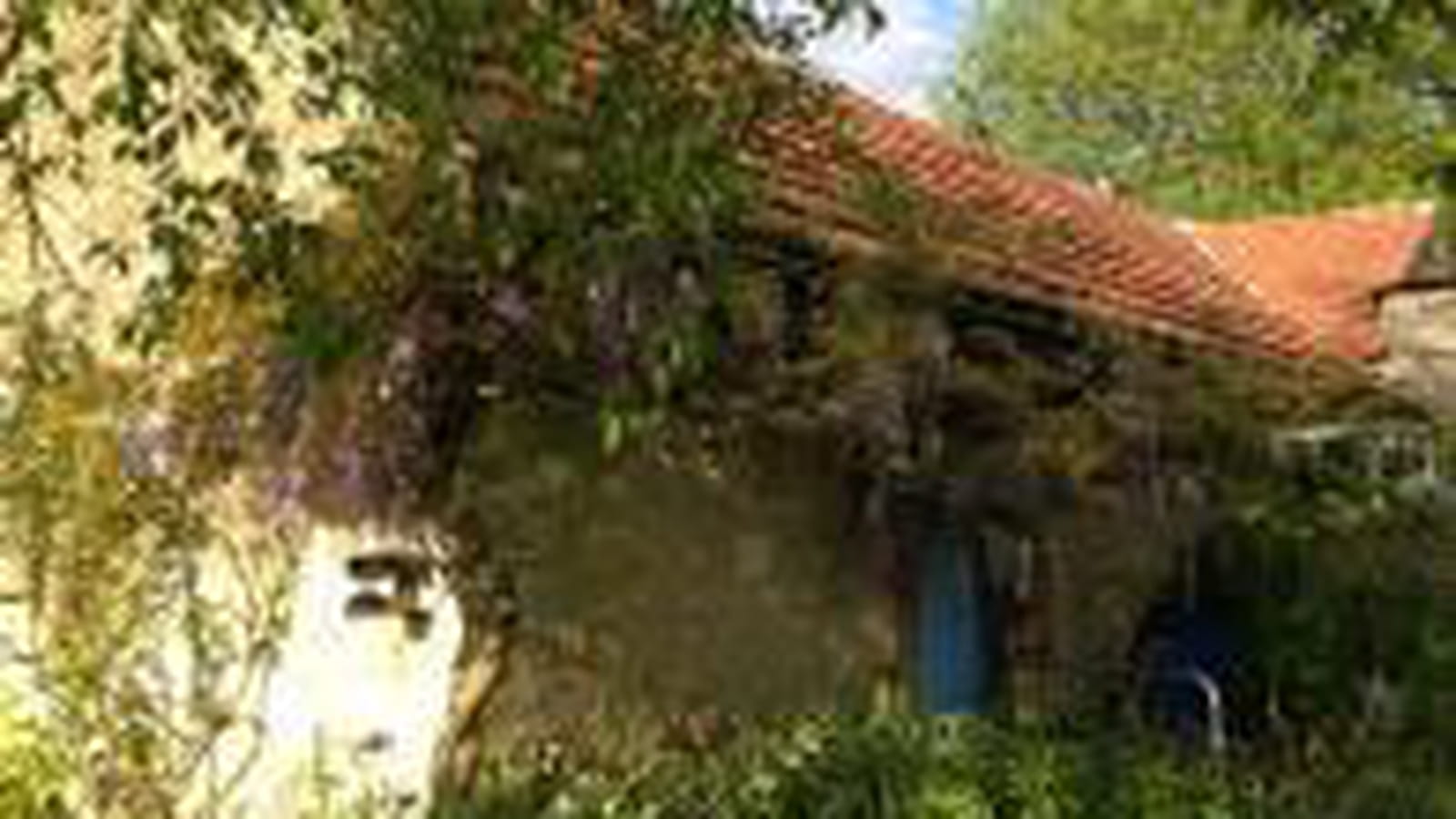 Glycine
