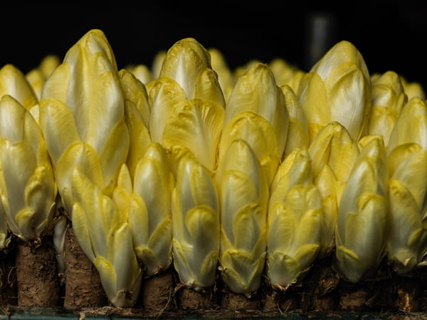 endives