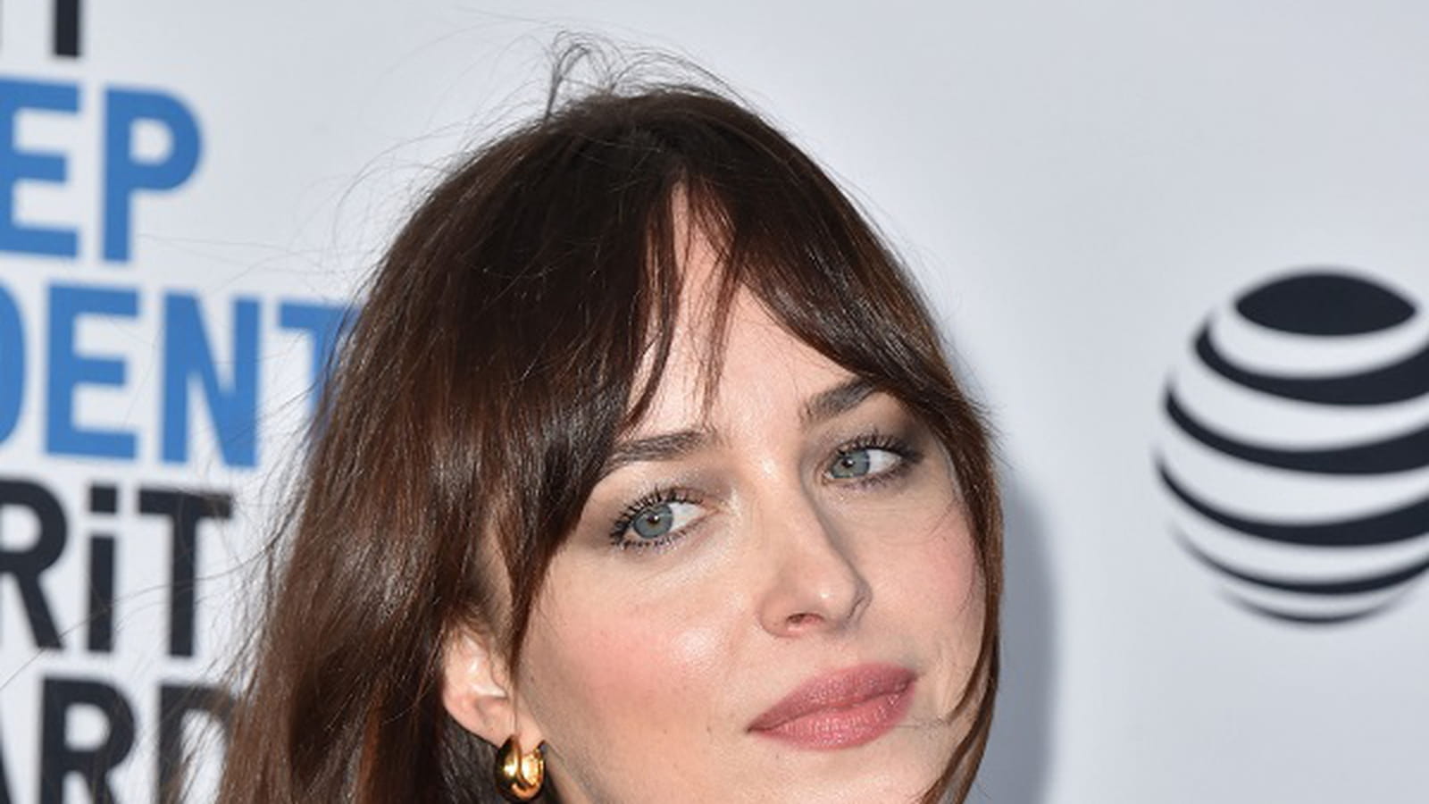 Dakota Johnson en brune