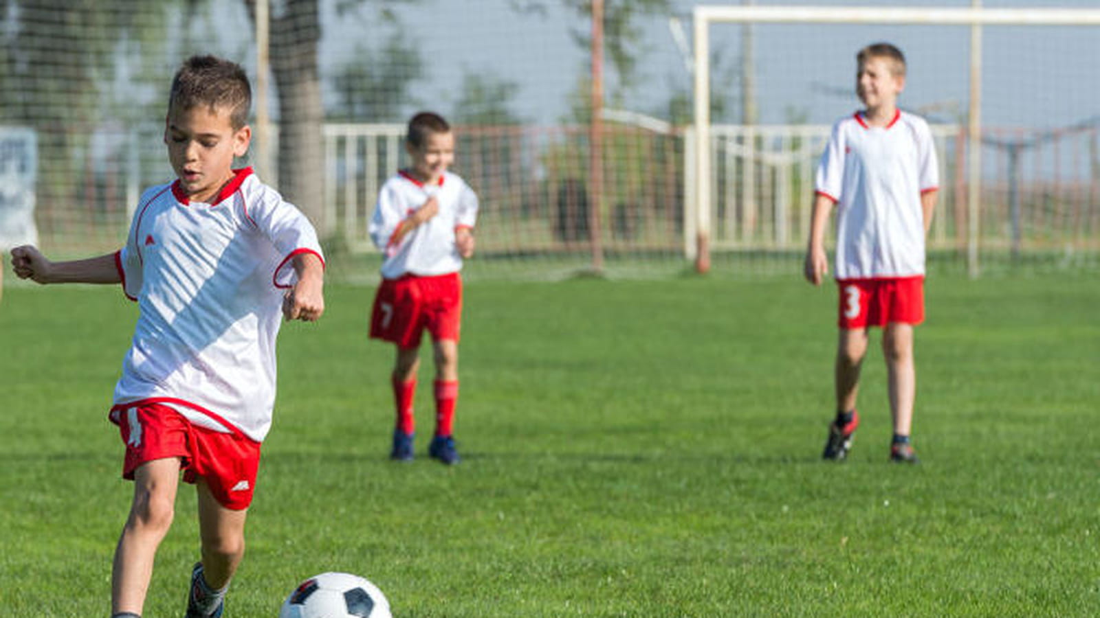 Sport