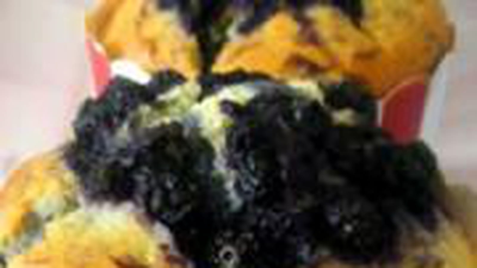 Muffins aux myrtilles, citron huile d'olive