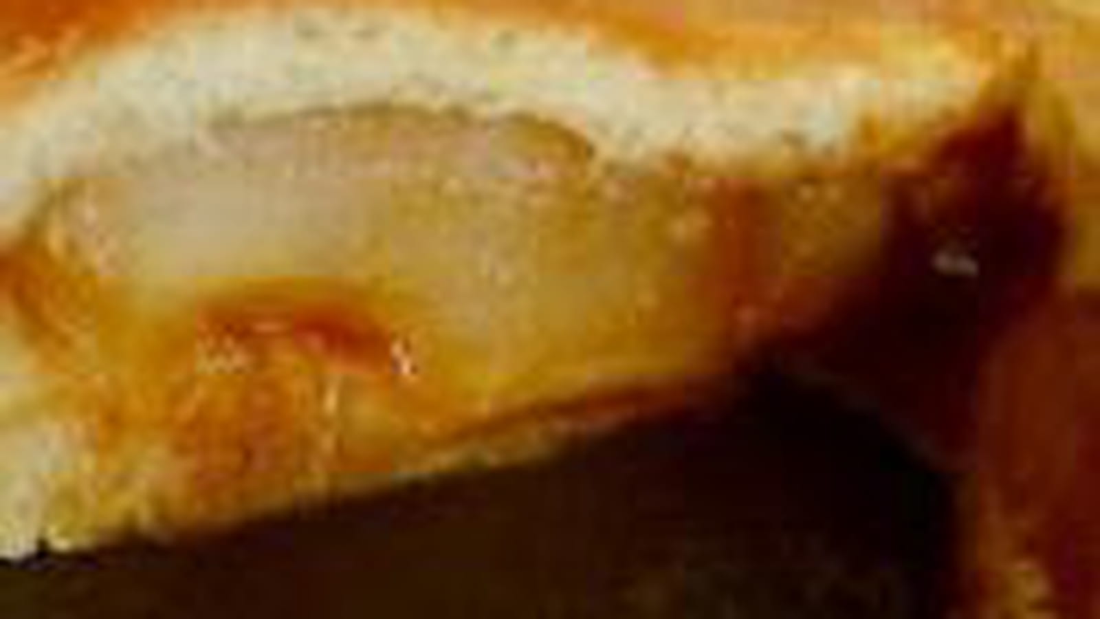 Tourte briochée aux poires