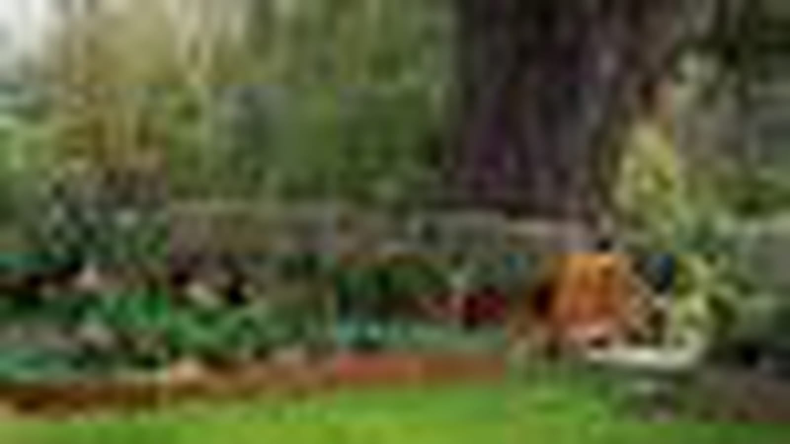Marie-Thérèse