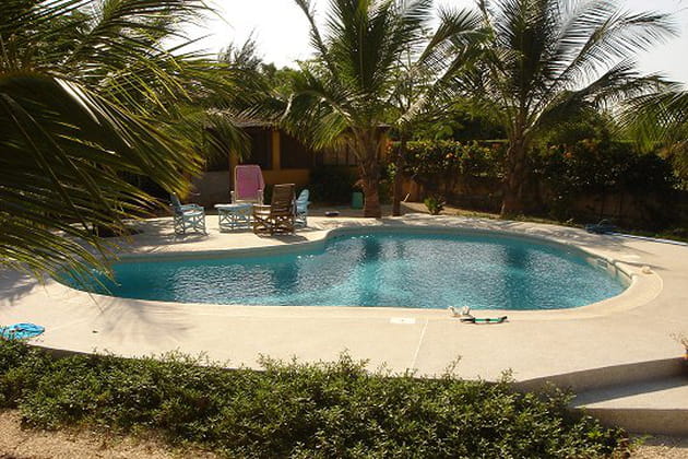 Une piscine entre les cocotiers