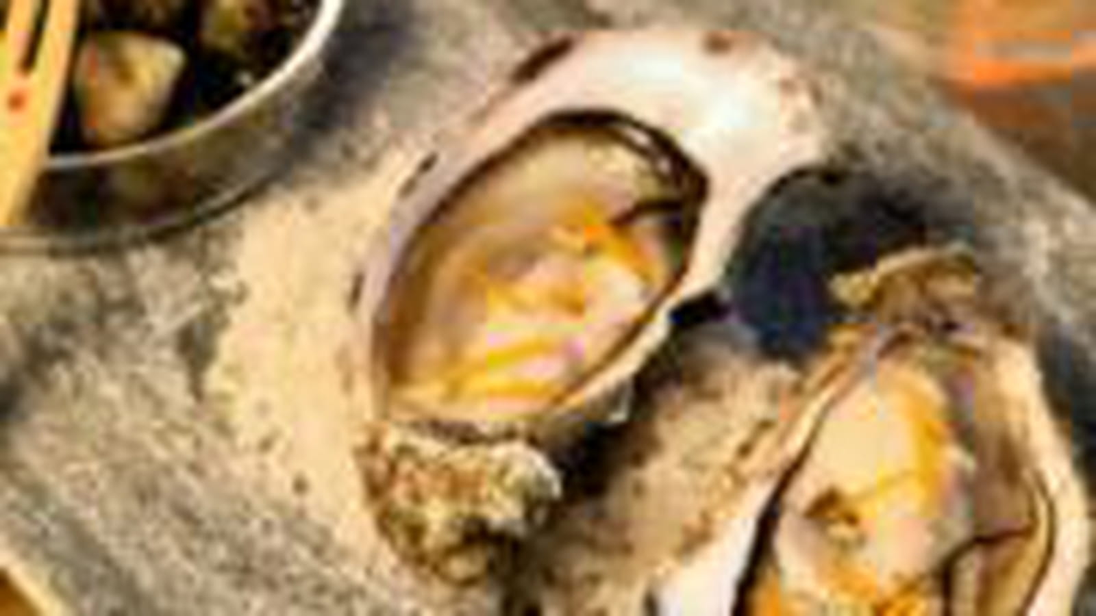 Huîtres en écume de bière, gingembre et zestes d'orange, bigorneaux à la mayonnaise de badiane