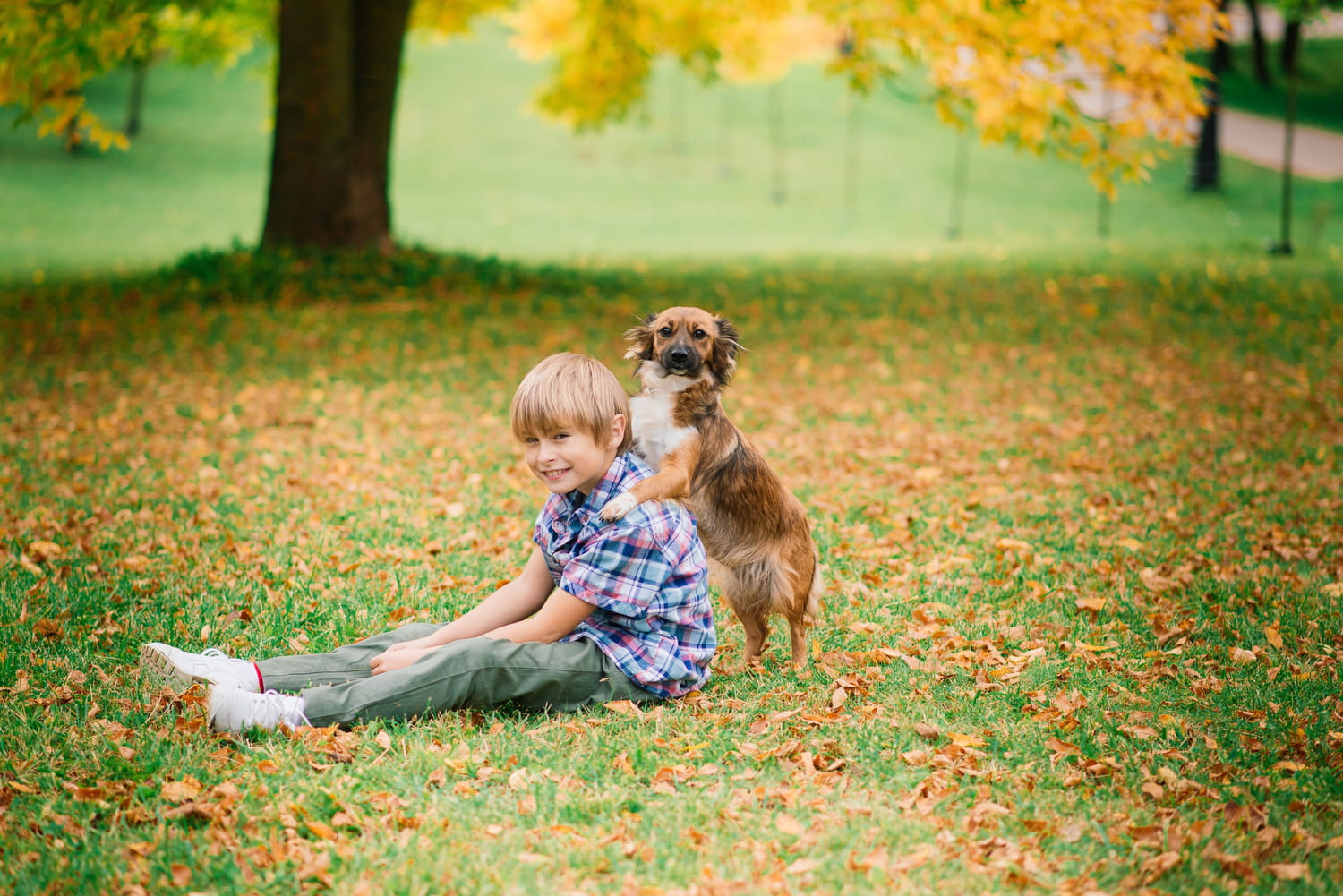 Children and pets: a special relationship Children and pets: a special relationship