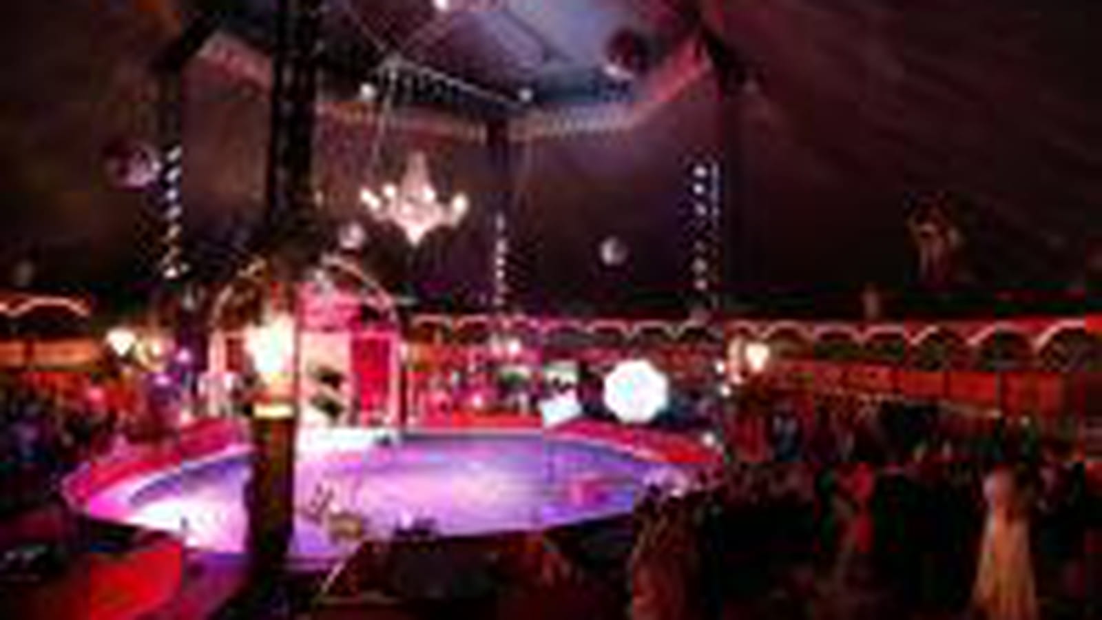 Le cirque !