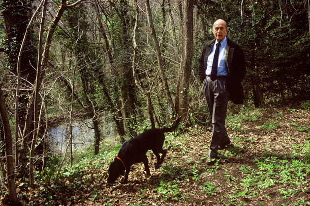 Valery Giscard d'Estaing, en balade avec Samba